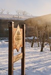schulp-banner-winter