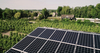 Zonnepanelen