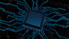 https://d3v3mlq4pl7g24.cloudfront.net/dGhpbms0LW5s/673b1c13d87c0/1.png1