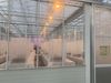 Pepertrips-proef-Vertify-in-gaaskooien