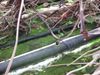 regenleiding-met-dop-met-lage-afgifte