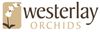 westerlay-WPweb-site-logo