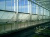 insectennet-gevel