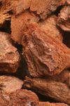 grove_bark_voor_een_goede_afwatering_en_afdrogingjpg