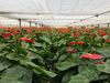 IMG_7308-2048x1536