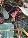 IMG_7312-1536x2048