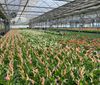 IMG_1894-scaled-e1671615866461-1536x1310