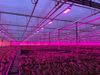 Full-LED-rood-95-blauw-5