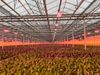 Full-LED-koeling-DLI