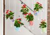 Anthura-Anthurium-Fiesta