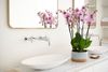 enphalaenopsis-pot-sevilla-lilac-106807-1