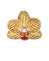phalaenopsis-potplanten-lima-geel-107573-3