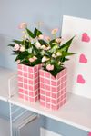 anthurium-potplanten-lipa-pink-mini-wit-207940-3