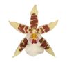 enexclusive-orchids-renaissance-white-white-601105-4