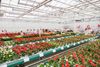 AnthuraNextevent-294
