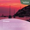 anturio-para-maceta-cirano-violeta-203959-0