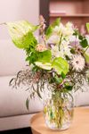 anthurium-snijrassen-extase-wit-208986-1