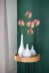 anthurium-snijrassen-fortezza-groen-209036-3