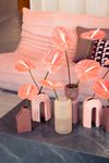 anthurium-cut-farao-pink-202888-1