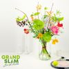 anthurium-snijrassen-grand-slam-groen-208311-5