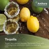 anthurium-cut-tequila-green-208698-0