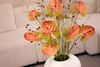 Licosa-close_up2