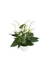 esanturio-para-maceta-banderola-cava-blanco-207654-0