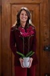 phalaenopsis-potplanten-nice-rood-109045-1