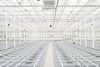 Inside the new greenhouse