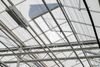 Ventilation window with ultra-fine mesh screen against thrips.
