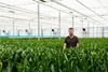 Luuk van der Haak tussen Exclusieve Orchideeën in de kas.
