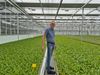 Wim Koolhaas in semi-closed greenhouse system.