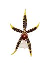 enexclusive-orchids-tarantula-xl-bright-601109-0
