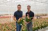 David (links) en Pieter (rechts) met het Anthuriumras Livium® Red.