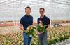 David (left) and Pieter (right) Stolk with the variety Livium® Red.