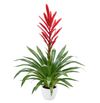 bromelia-potplanten-amorosa-rood-700848