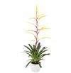 bromelia-potplanten-happy-yellow-geel-700880