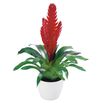 bromelia-potplanten-style-rood-700908