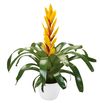 bromelia-potplanten-vision-geel-700915