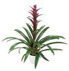 esbromelia-para-maceta-luna-violeta-700812
