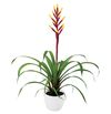enbromelia-misty-yellow-700815