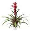 esbromelia-para-maceta-nextara-violeta-700817-1
