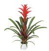 enbromelia-ostara-red-700818