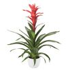 enbromelia-rouche-red-700821