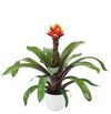 enbromelia-crown-red-700797