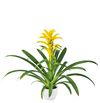 esbromelia-para-maceta-desire-amarillo-700801