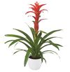 enbromelia-techno-red-700831