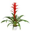 bromelia-potplanten-allura-rood-700790