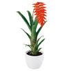 enbromelia-dyeriana-orange-700850