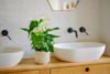 Anthura_17-3_regina_1